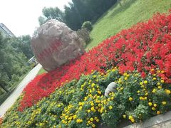 -长白岛森林公园