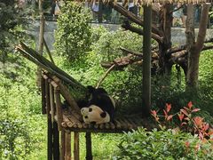 -云南野生动物园