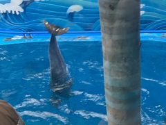 -海合安成都极地海洋公园