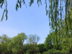 -泰丰公园