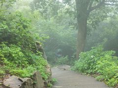 -紫金山山顶公园