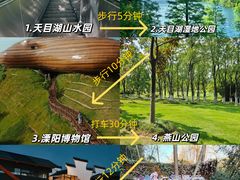 -紫藤园·天目湖大鱼头(南山竹海店)