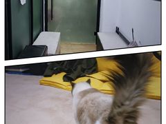 -零纪元VR体验馆·桌游(黄浦店)