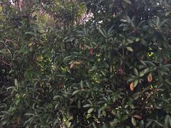 -前小桔亲子创意农场·草莓采摘·露营烧烤