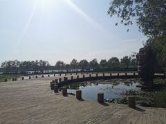 -绿堤公园