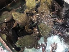 -盒马鲜生(枣园路店)