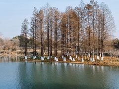 -玄武湖景区-情侣园游乐场