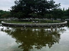 -西安浐灞国家湿地公园
