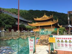 -普陀山风景名胜区-法雨禅寺