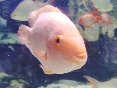 -太平洋海底世界