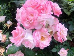 -人民公园(罗湖区)