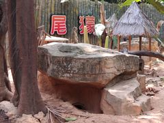 -深圳野生动物园