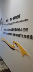 点击看大图 -正璞医疗美容·皮肤修复·微整注射