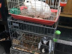 -锦尚阁烤鱼•天津菜(宣武门胡同店)