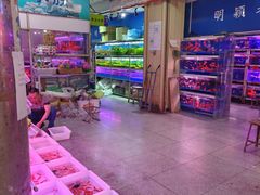 -宝鸡东道花鸟鱼虫市场(吉利花园商场店)