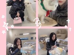 -怪兽屋·羊驼·猫咖·狗咖(俊华广场店)