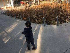 -河北村民俗体验园