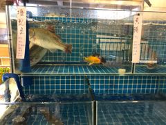 -银珠渔港·海鲜砂锅粥