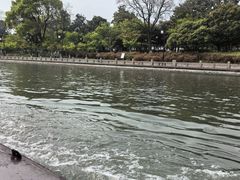 -苏州古运河游船(新市桥码头)