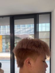 -天使之手