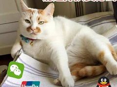 -CoCo都可(盐城宝龙城市广场店)