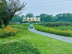 -桤木河湿地公园