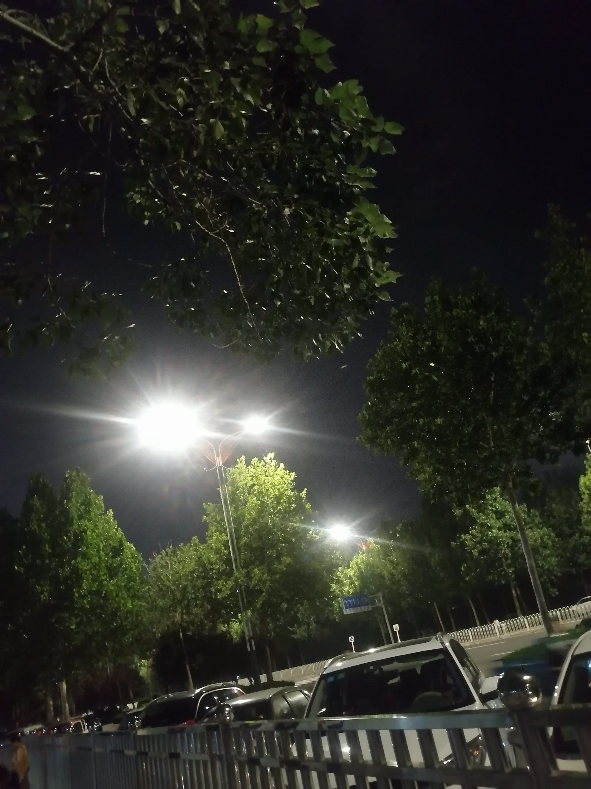 天天领红包夏天的夜晚,蝉鸣声不断
