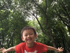 -昆山城市生态森林公园