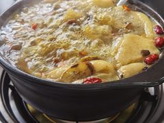 -江川野生菌火锅铜锅鱼(贵清火锅店)