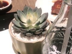 -广州融创花间堂悦雪酒店-花间食西餐厅