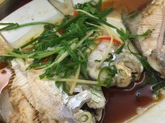 -天天海鲜城·海鲜大排档(新溪店)