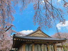 -醍醐寺