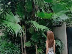 -广州近代史博物馆