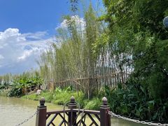 -江门古劳水乡旅游区