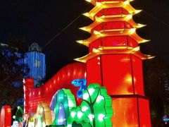 -万绿园