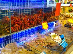 水产区-必点海鲜·鲅鱼水饺(鞍山西道店)