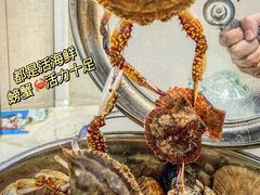 -富临港蒸汽海鲜(栈桥店)