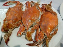 螃蟹-宾朋海鲜特色美食餐厅·纯手工鲅鱼水饺(兴海路店)