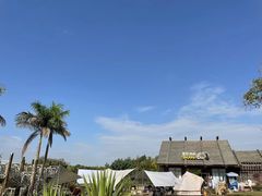 -大湾区中央湿地公园