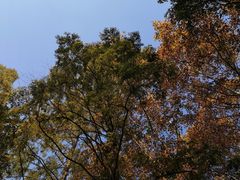 -T80科技文化国际社区-停车场