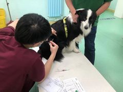-北京观赏动物医院·24小时大型综合·猫专科·异宠专科