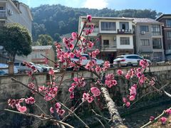 -午潮山国家森林公园