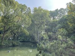 -上海醉白池公园