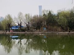 -团结湖公园