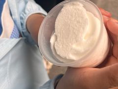 -洪馨椰子