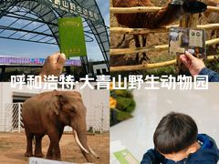 -大青山野生动物园