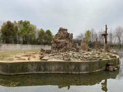 -合肥野生动物园