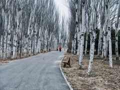 -东郊湿地公园