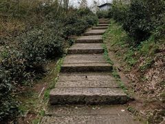 -长沙黑麋峰国家森林公园