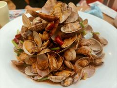辣炒青岛小花蛤-船歌·鱼水饺青岛菜(枫蓝国际购物中心店)